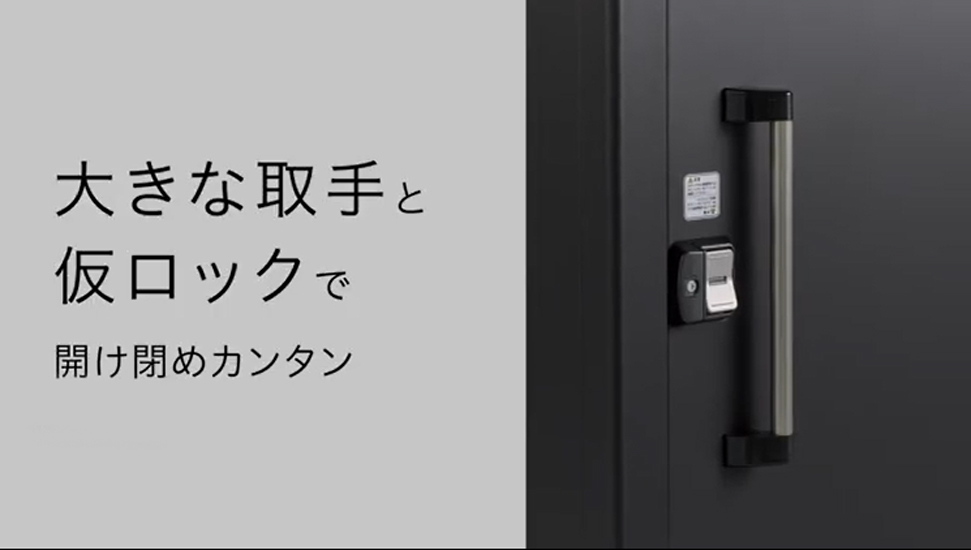 ヨド物置 BLACKエルモ LMDS-2518(積雪型) 標準高 | セイリーハウス